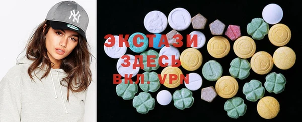 хмурый Арсеньев