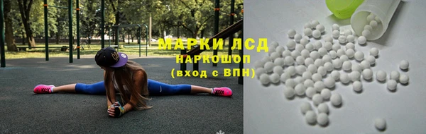 хмурый Арсеньев