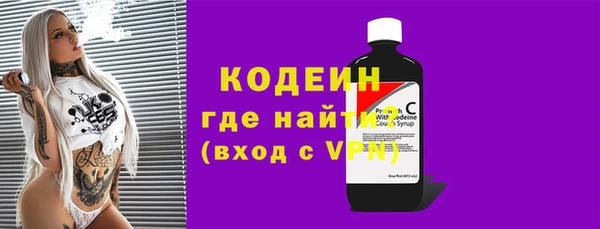 хмурый Арсеньев