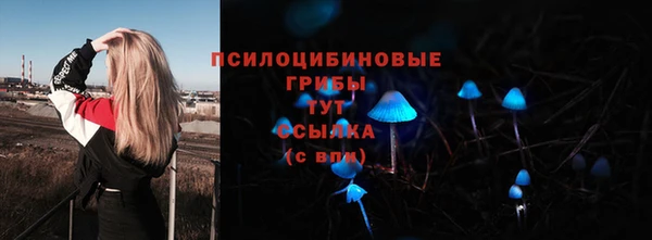 хмурый Арсеньев