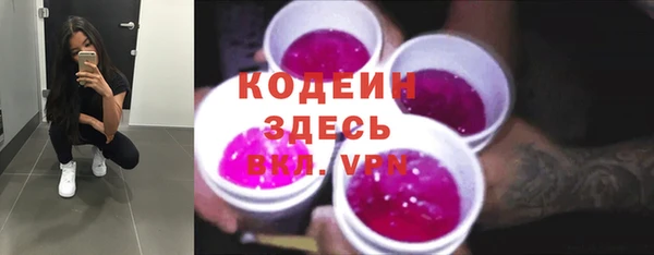 хмурый Арсеньев