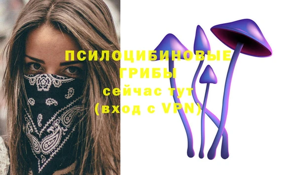 ALPHA PVP Армянск