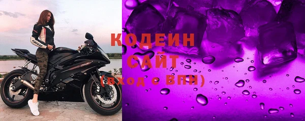 хмурый Арсеньев