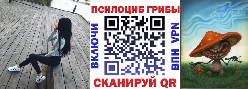 наркотики Острогожск Псилоцибиновые грибы MAGIC MUSHROOMS